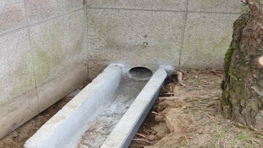 원삼면 기타하자