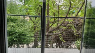 구로 닌간대 제작